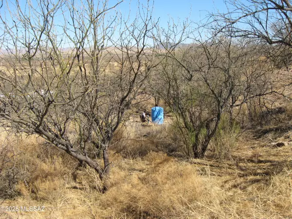 Arivaca, AZ 85601,16771 W Arivaca Road #194