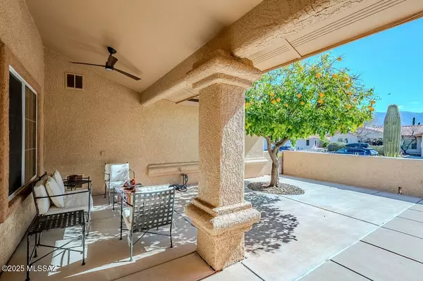 Oro Valley, AZ 85755,14679 N Windshade Drive