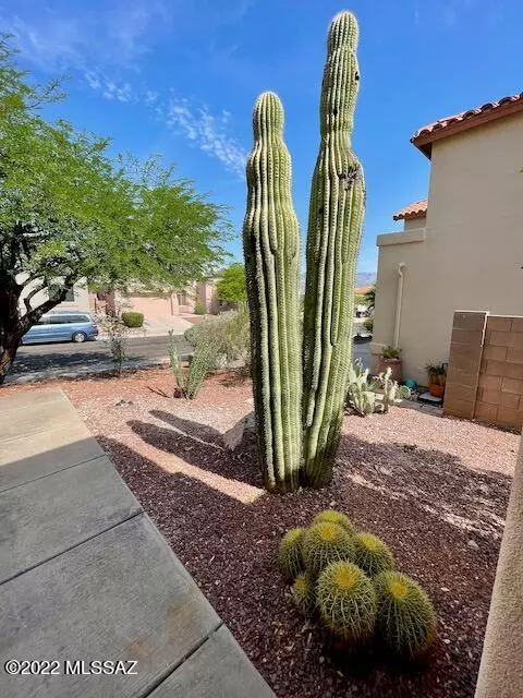 Tucson, AZ 85748,780 N Promontory Drive