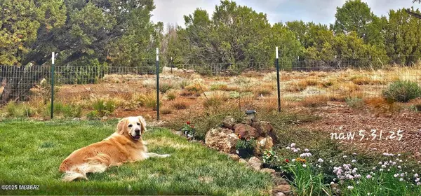 Vernon, AZ 85940,3 N3122