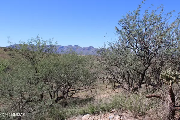 Rio Rico, AZ 85648,346 Anfibio Court #83