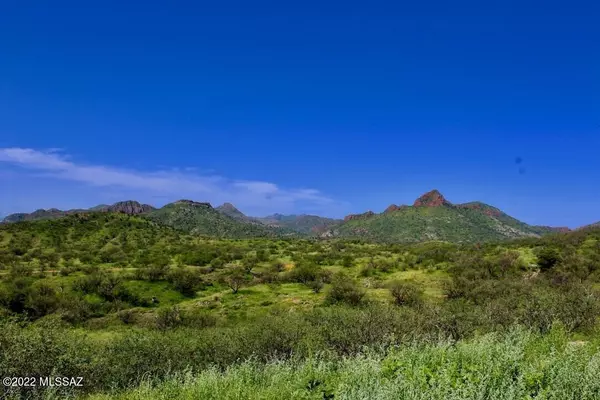 TBD Muledeer Drive #110, Rio Rico, AZ 85648