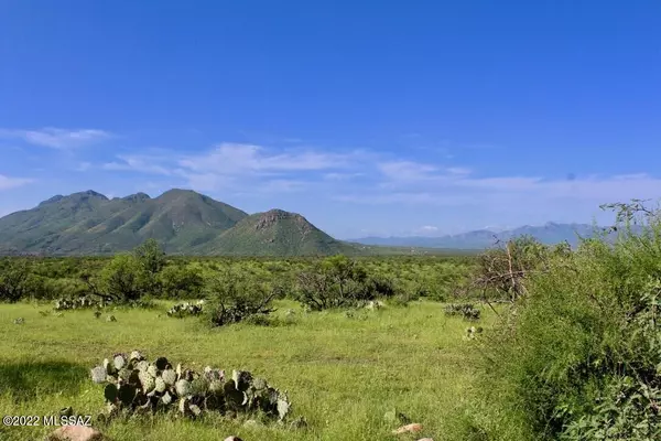 Rio Rico, AZ 85648,TBD Muledeer Drive #110