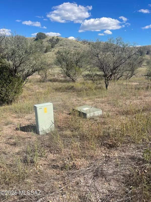 Patagonia, AZ 85624,106 Tanglehead lane  #6