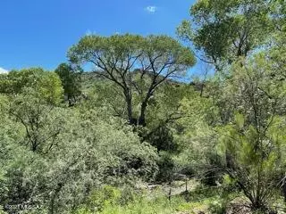 60 Harshaw Creek Road #0, Patagonia, AZ 85624