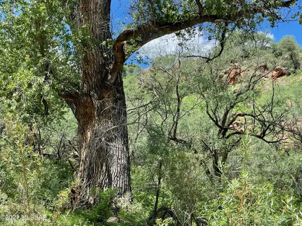 Patagonia, AZ 85624,60 Harshaw Creek Road #0