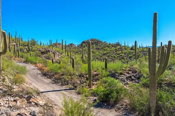 Tucson, AZ 85755,14124 N Tortolita Estates Drive