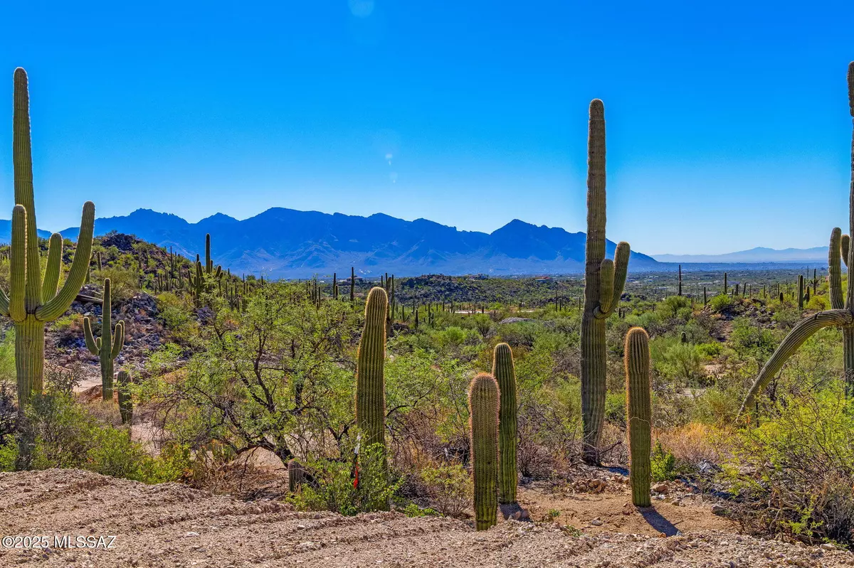 Tucson, AZ 85755,14124 N Tortolita Estates Drive