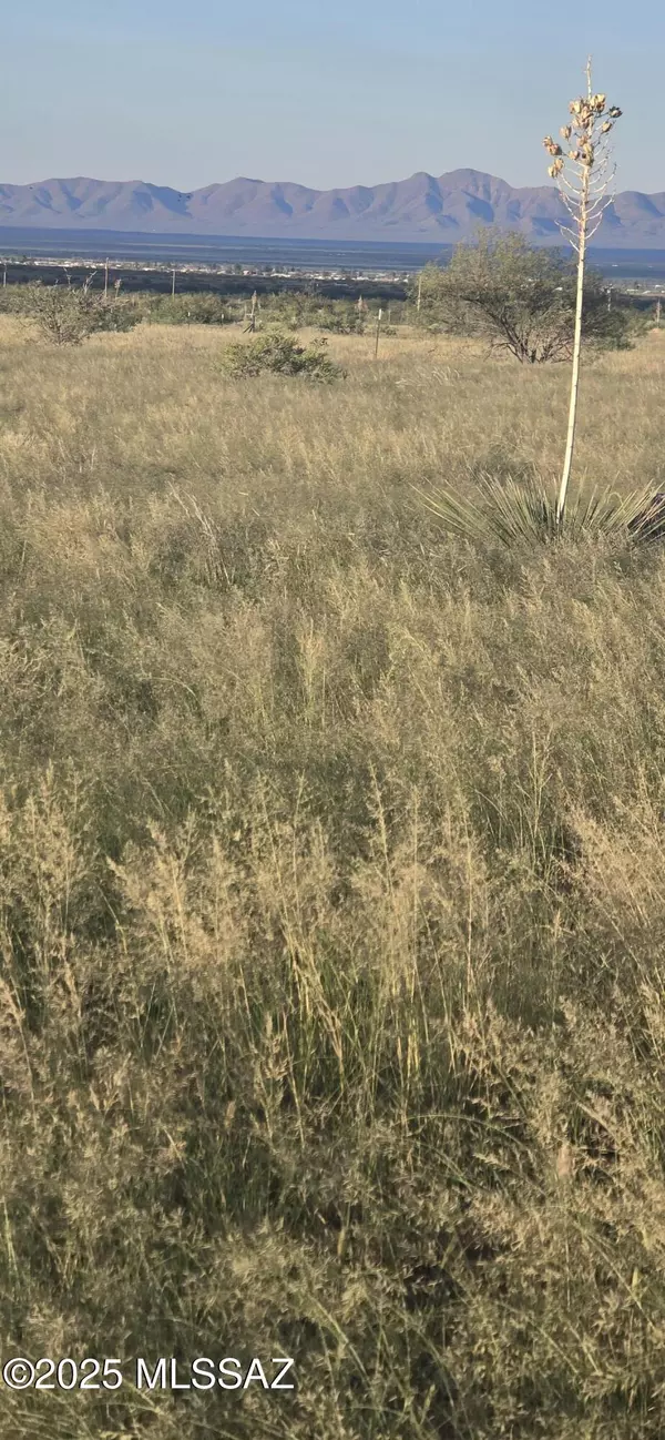 Pearce, AZ 85625,TBD 1 Acre W Knox Street #9