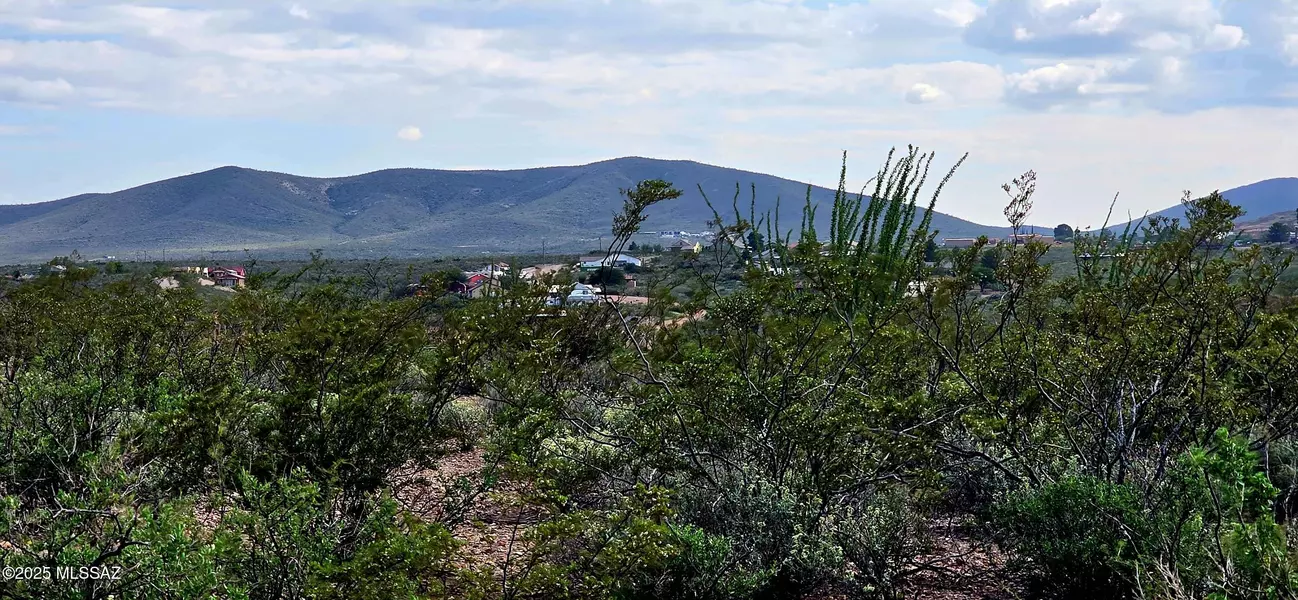 TBD N Rosa Court #602, Tombstone, AZ 85638