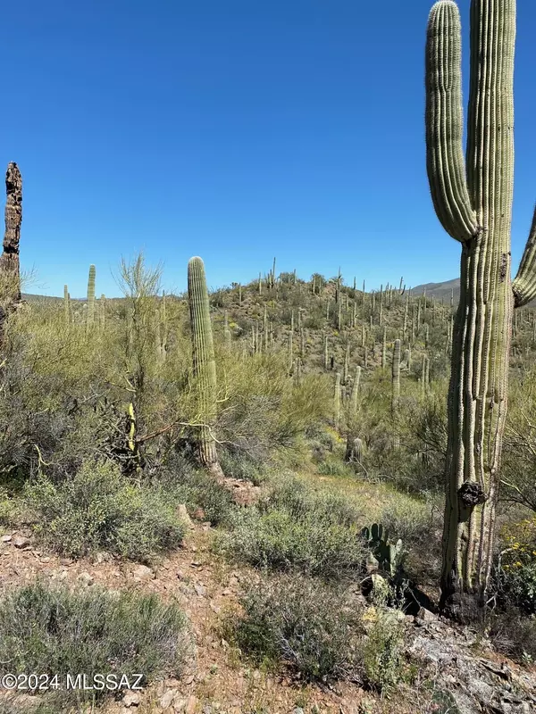 Marana, AZ 85658,TBD No Address