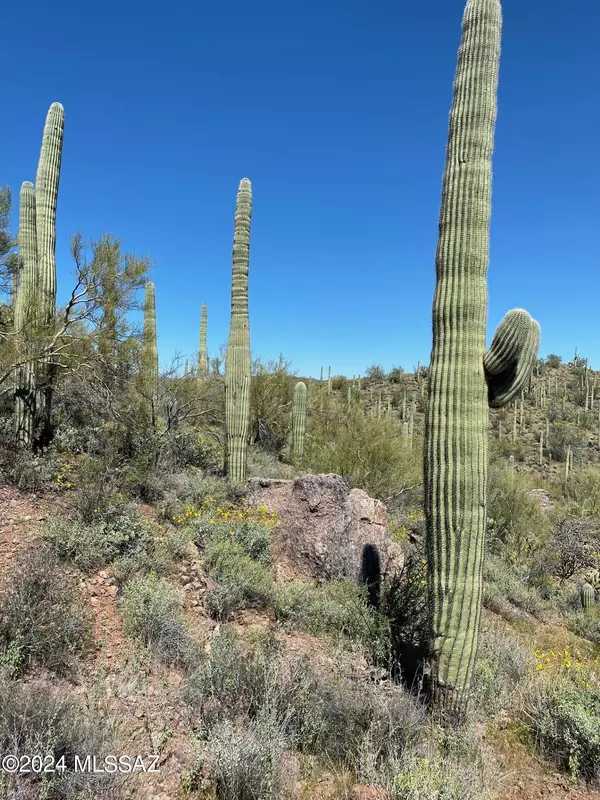 Marana, AZ 85658,TBD No Address