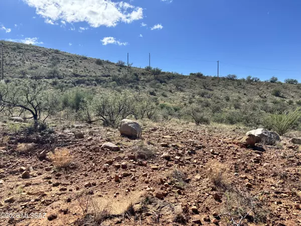 Rio Rico, AZ 85648,339 Via Mantaraya  #26