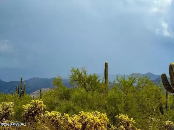 Marana, AZ 85658,0 S Twin Hawk Ln Lot #2 10 Acres