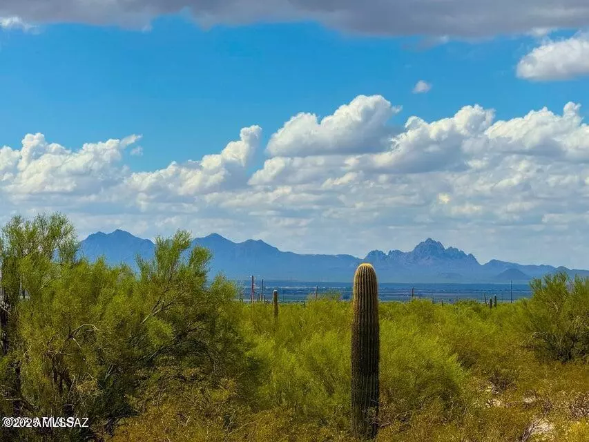 Marana, AZ 85658,0 S Twin Hawk Ln Lot #2 10 Acres