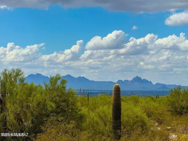 0 S Twin Hawk Ln Lot #2 10 Acres, Marana, AZ 85658