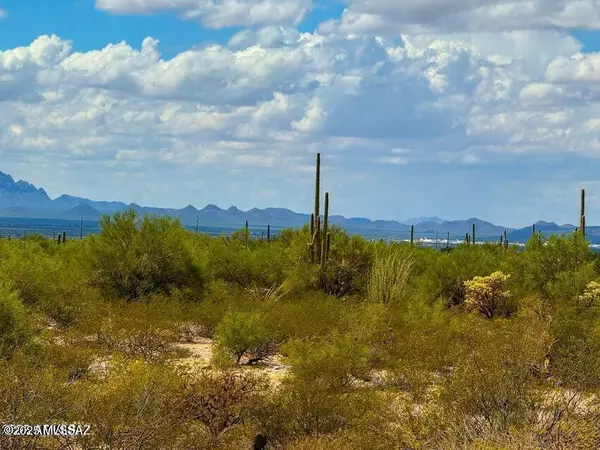 Marana, AZ 85658,0 S Twin Hawk Ln Lot #2 10 Acres