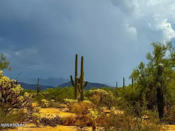 Marana, AZ 85658,0 S Twin Hawk Ln Lot #1 10 Acres