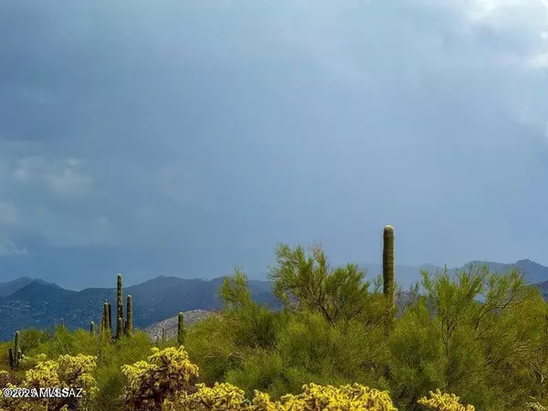 Marana, AZ 85658,0 S Twin Hawk Ln Lot #5 10 Acres