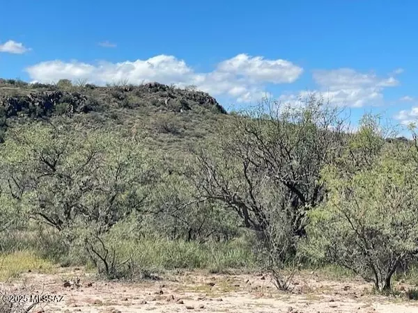 Rio Rico, AZ 85648,TBD Morning Star Drive #69