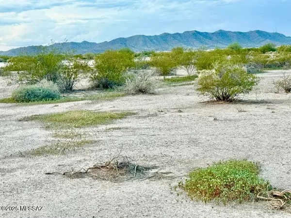 Eloy, AZ 85131,3910 & 3920 N Pantano Valley Road #-