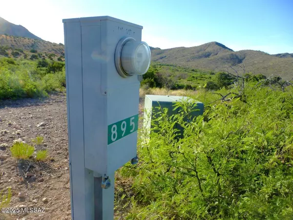 Portal, AZ 85632,895 W Portal Peak Road #1