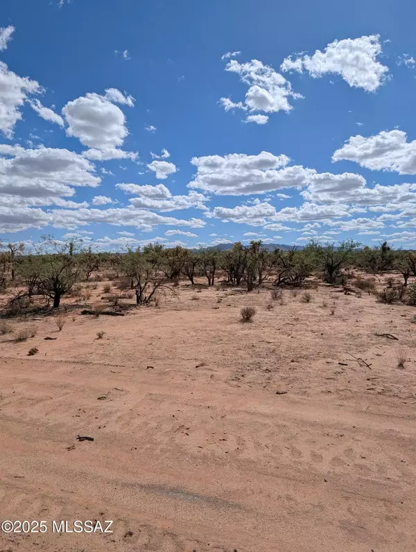 Tucson, AZ 85735,TBD S Antique Way