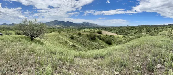 Patagonia, AZ 85624,00 Proctor Lane #F