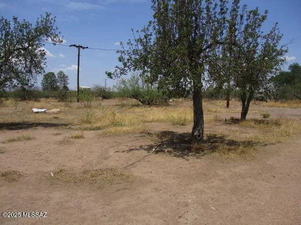 Elfrida, AZ 85610,10478 Jones Avenue