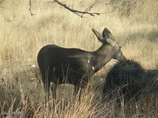 St. David, AZ 85630,E162 E De Vaca Circle #62