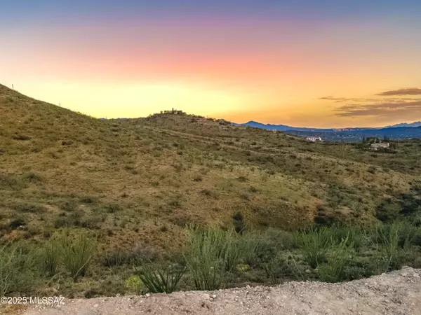 Rio Rico, AZ 85648,1379 Camino Faja