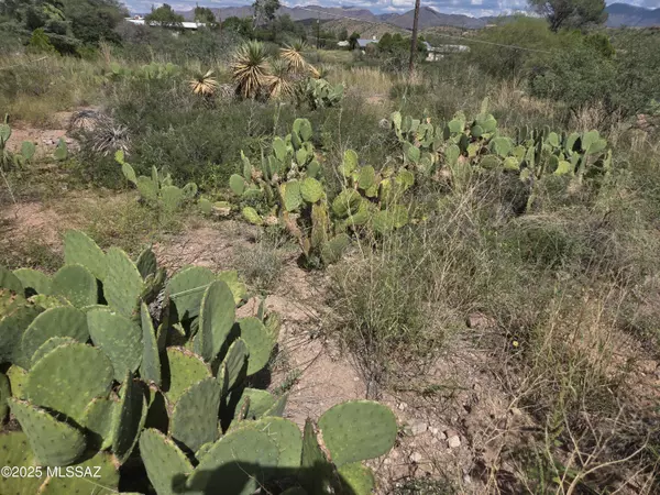 Nogales, AZ 85621,TBD N Camino Rebecca  #17
