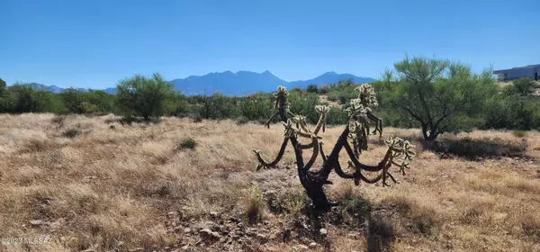 Green Valley, AZ 85614,400 E Placita Loma Rosa  #11