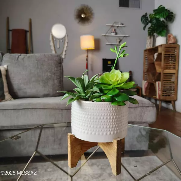 Tucson, AZ 85716,2825 E Manchester Street