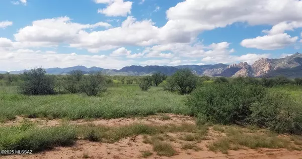 Cochise, AZ 85606,4 Lots W Cochise Way #14-16