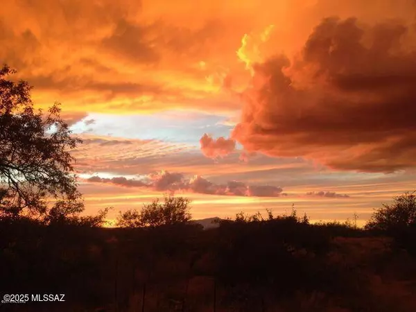 St. David, AZ 85630,M223 COUGAR Trail #1