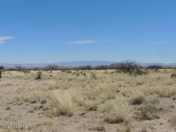 Pearce, AZ 85625,2.14 Acre on Bryant and Lansing #-