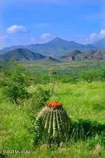 Tubac, AZ 85646,TBD Morning Star Drive #--