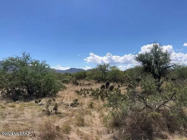 Vail, AZ 85641,TBD S Camino Loma Alta #1