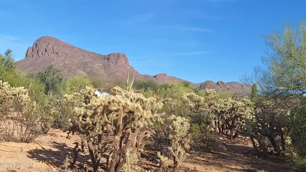 Tucson, AZ 85743,10455 W Mars Road