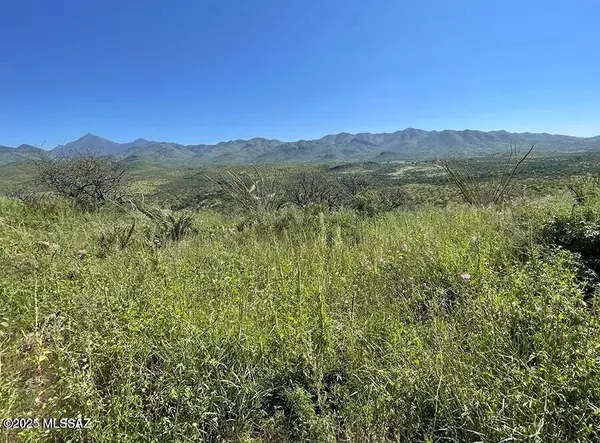 Rio Rico, AZ 85648,TBD Tejano Springs Rd  #79