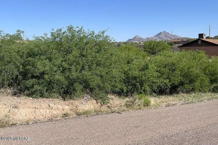 782 Via Tecoripa  #12, Rio Rico, AZ 85648