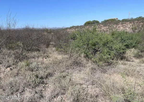 Rio Rico, AZ 85648,782 Via Tecoripa #12