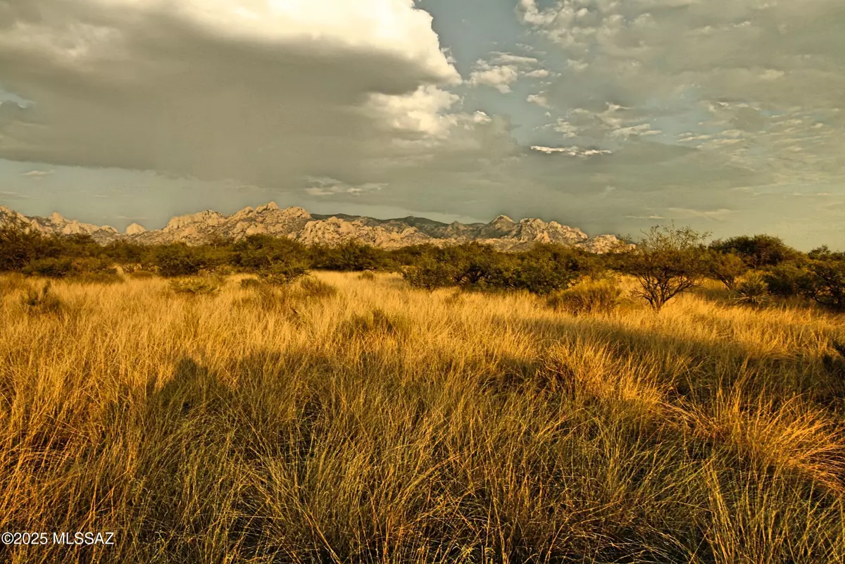 St. David, AZ 85630,Lot 17 N Dragoon Ranch Road #17