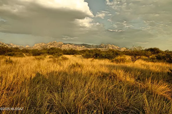 Lot 17 N Dragoon Ranch Road #17, St. David, AZ 85630