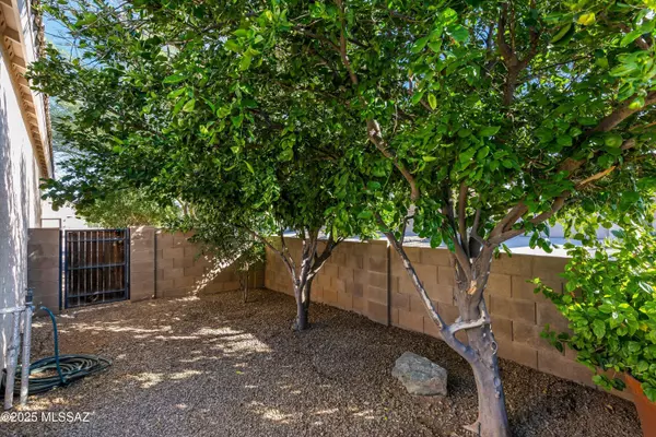 Tucson, AZ 85704,1861 W River Otter Drive