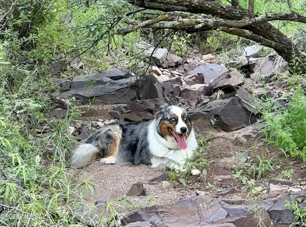 Patagonia, AZ 85624,00 Proctor Lane #F-5