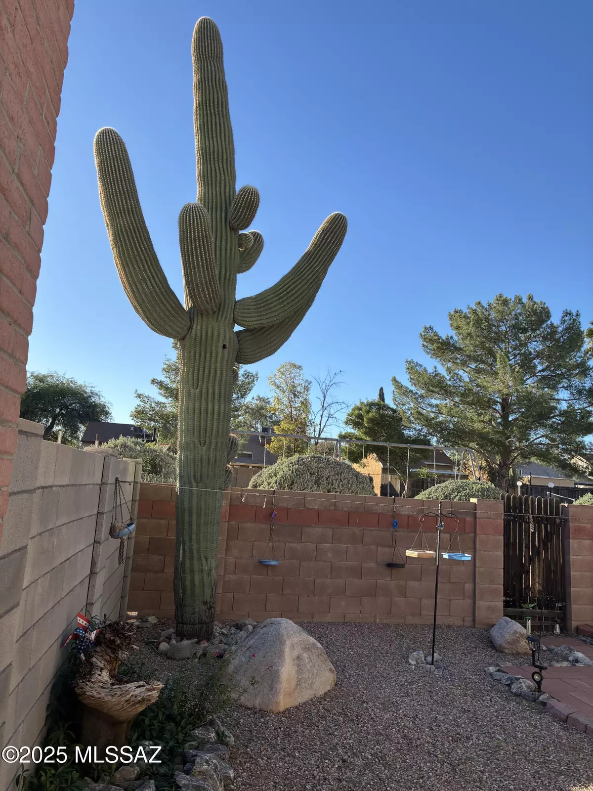 Tucson, AZ 85746,7256 S Camino Del Arco Iris