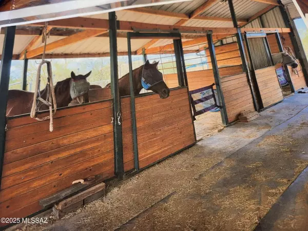 Tucson, AZ 85746,5552 S Beehive Avenue