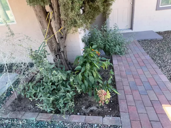 Tucson, AZ 85705,536 E Seneca Street